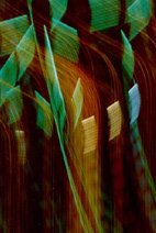Light series